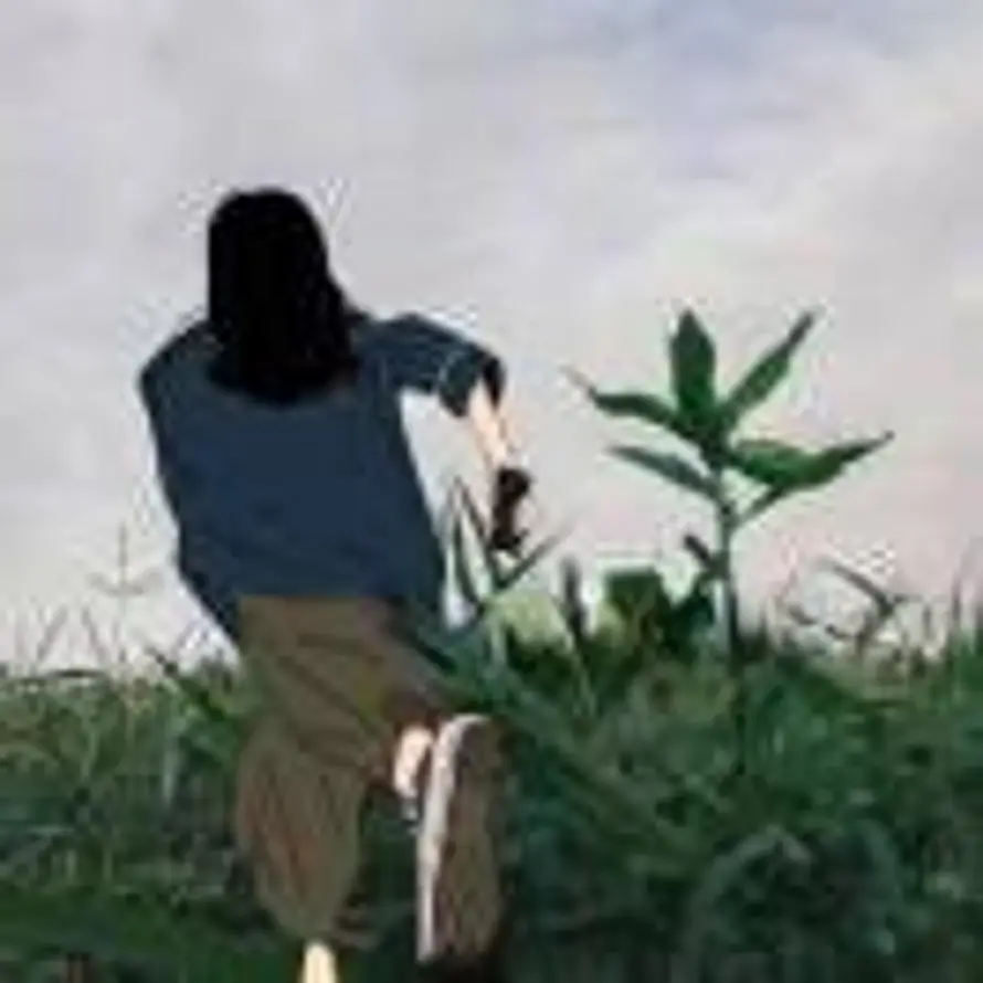 L的头像