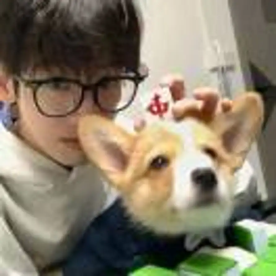 云飞的头像