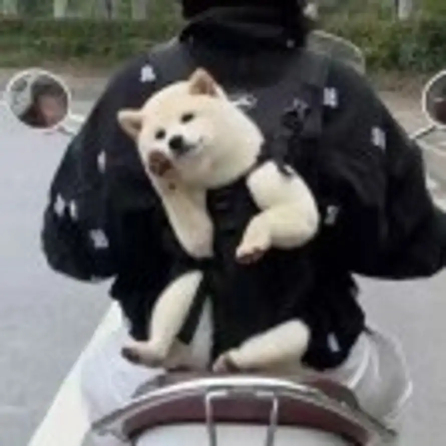 你的头像