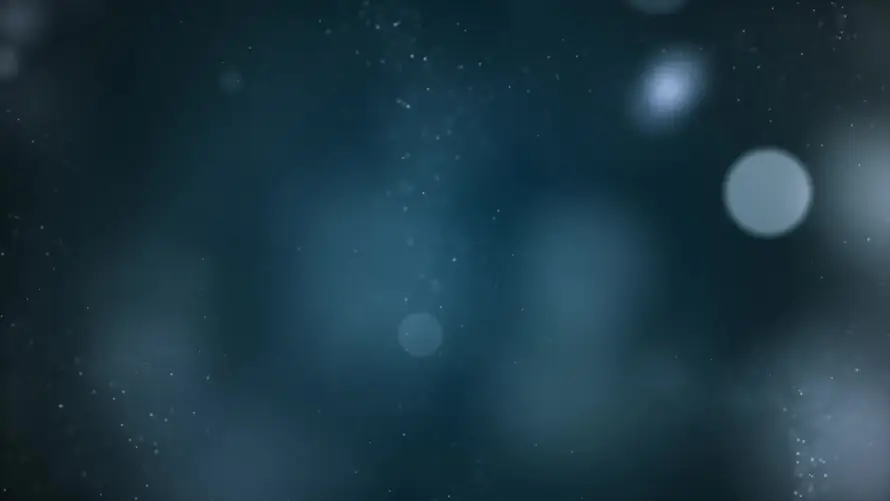 最喜欢的图像