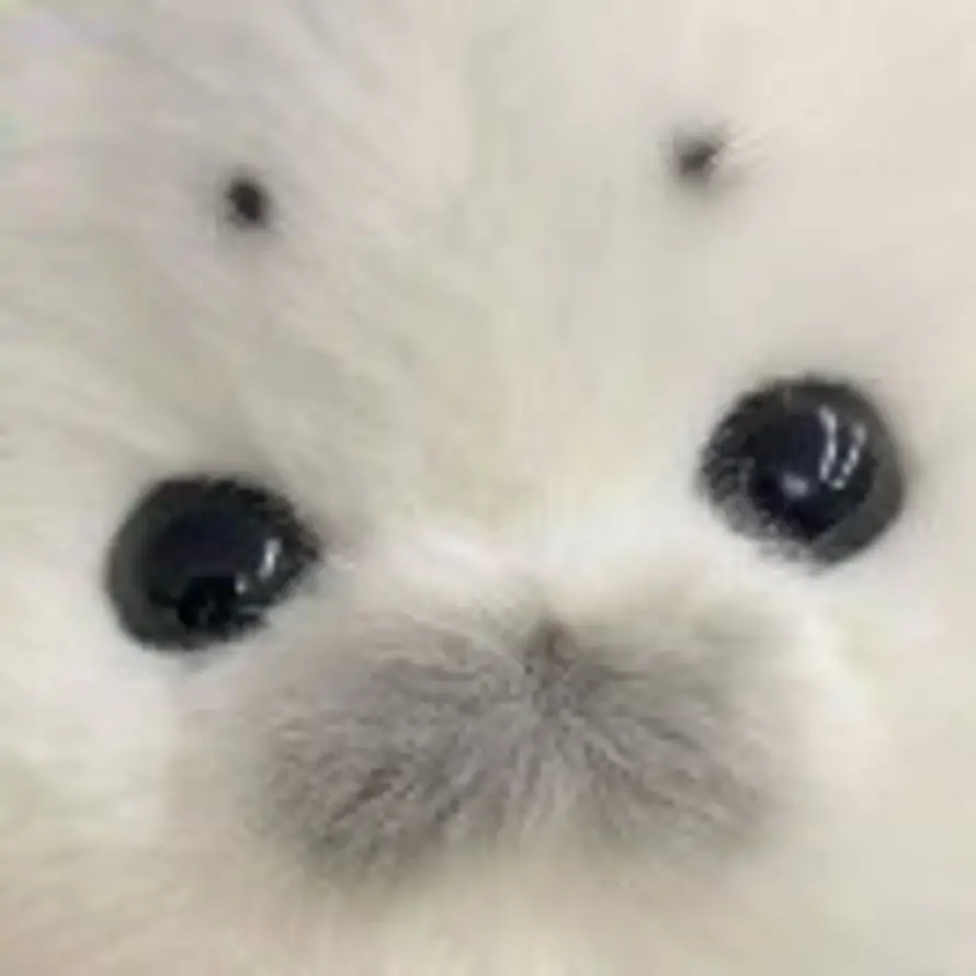 旧日历的头像