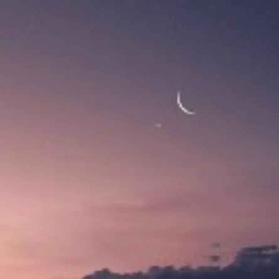 霜的头像