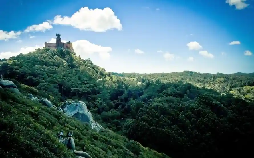3k城堡壁纸-绿色植被 - 壁纸-自然风景壁纸分享「哲风壁纸」