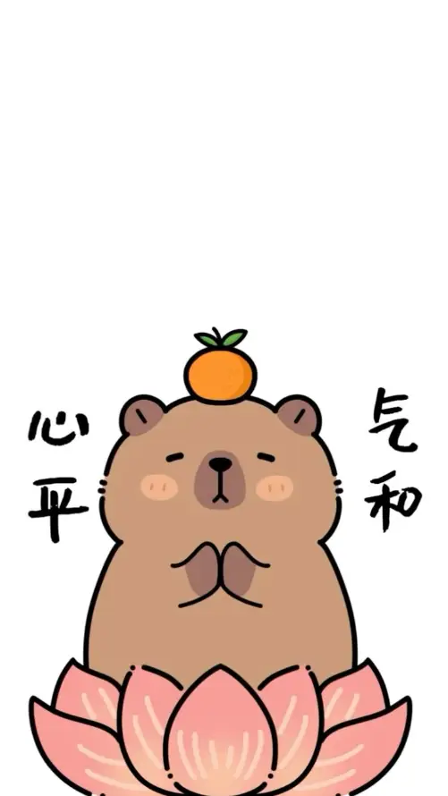 4k佛系壁纸 - 文字 - 橘子 - 禅意「哲风壁纸」