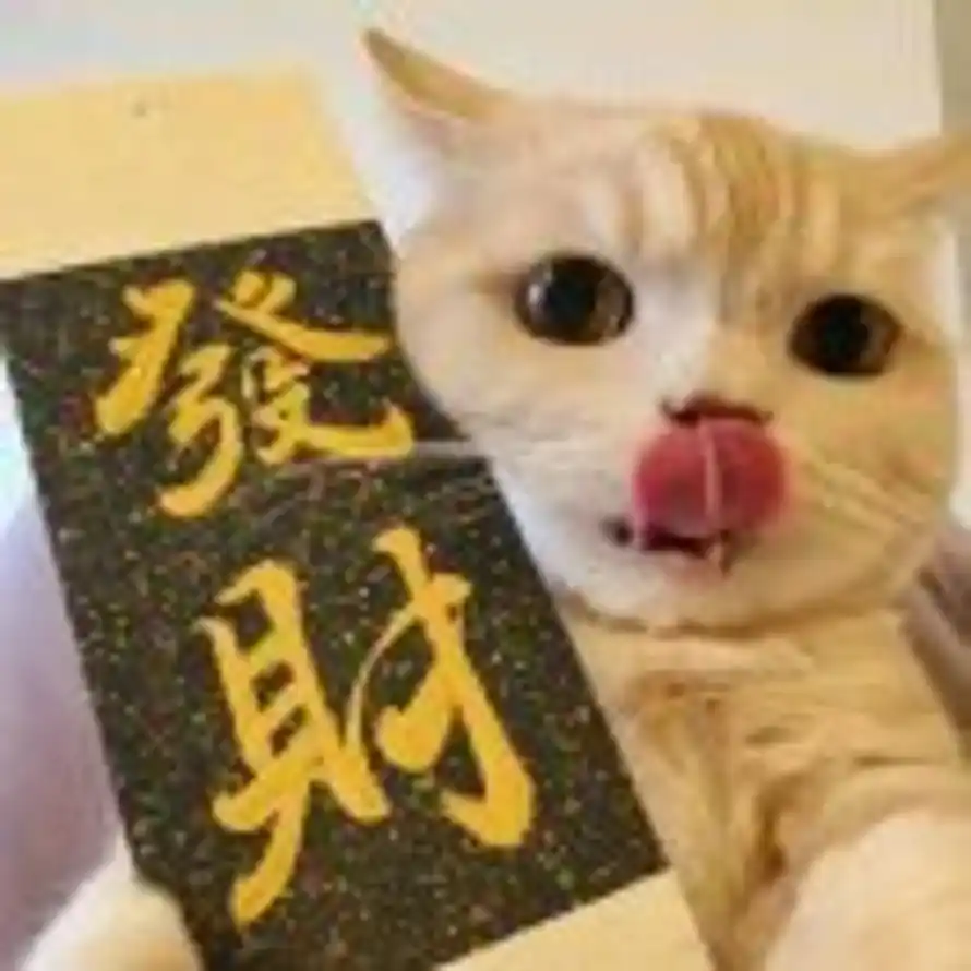 Kira Ho的头像