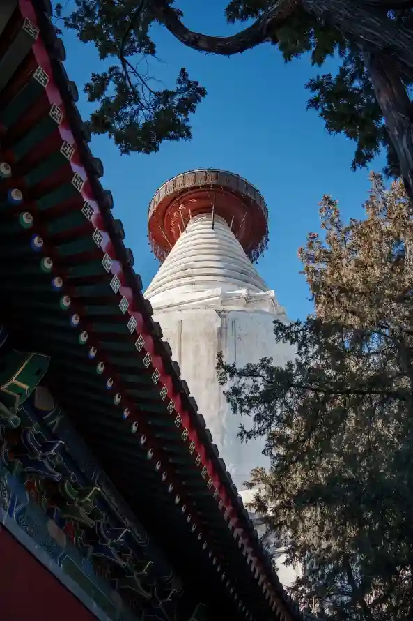 4k北京壁纸 - 园林 - 树木 - 白塔「哲风壁纸」