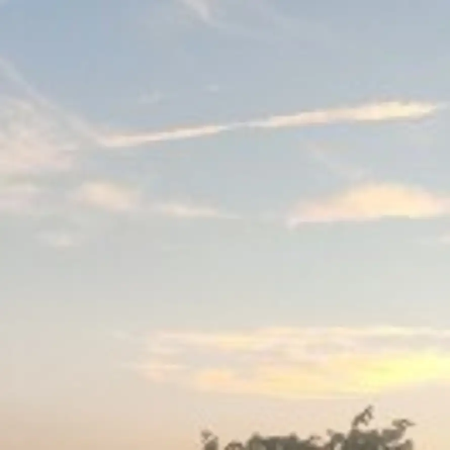 星落的头像