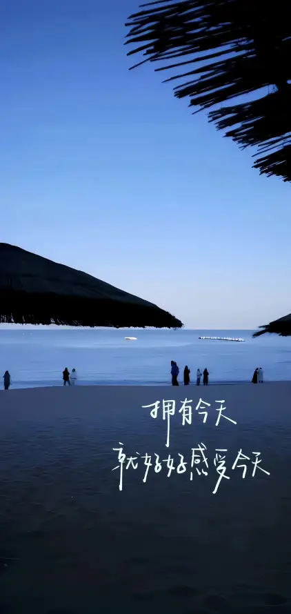 4k人群壁纸 - 宁静 - 沙滩 - 海景「哲风壁纸」