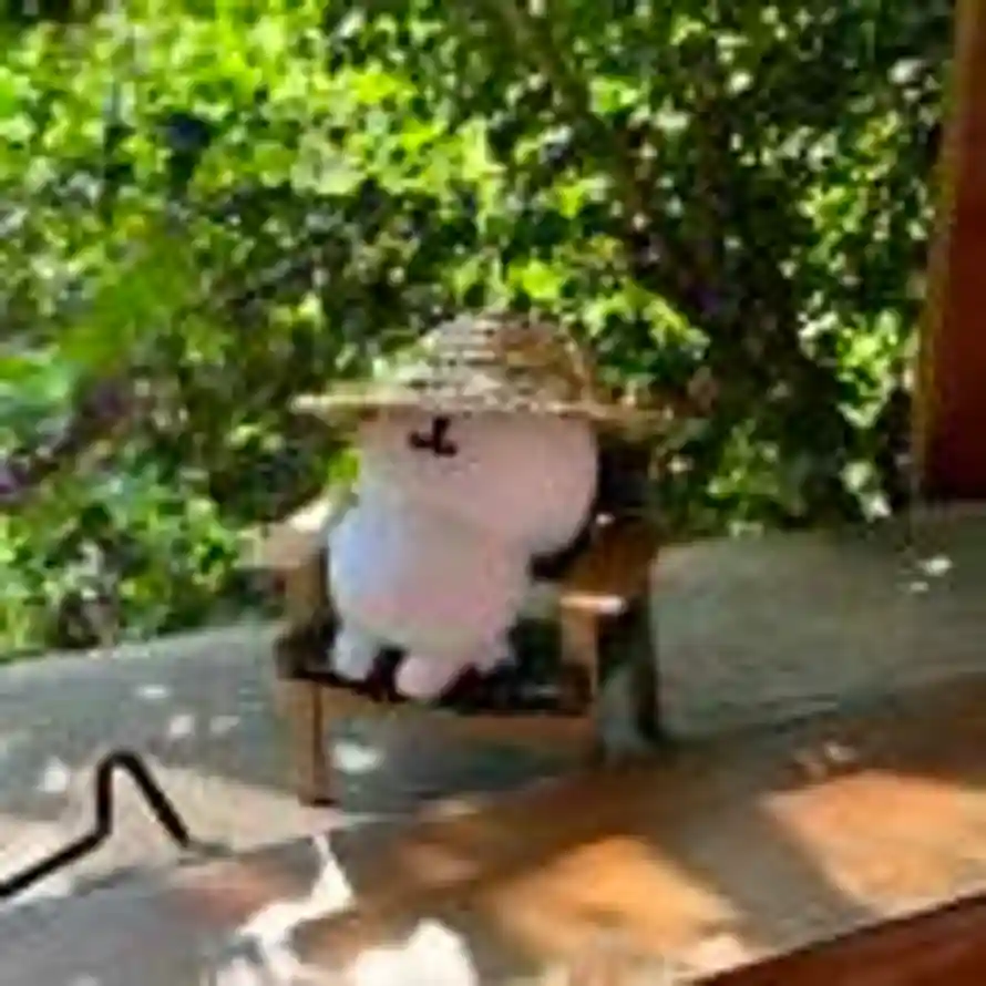 贰拾叁的头像