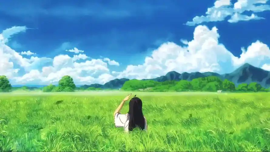 最喜欢的图像