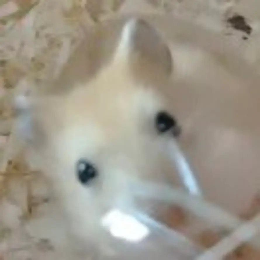张非的头像