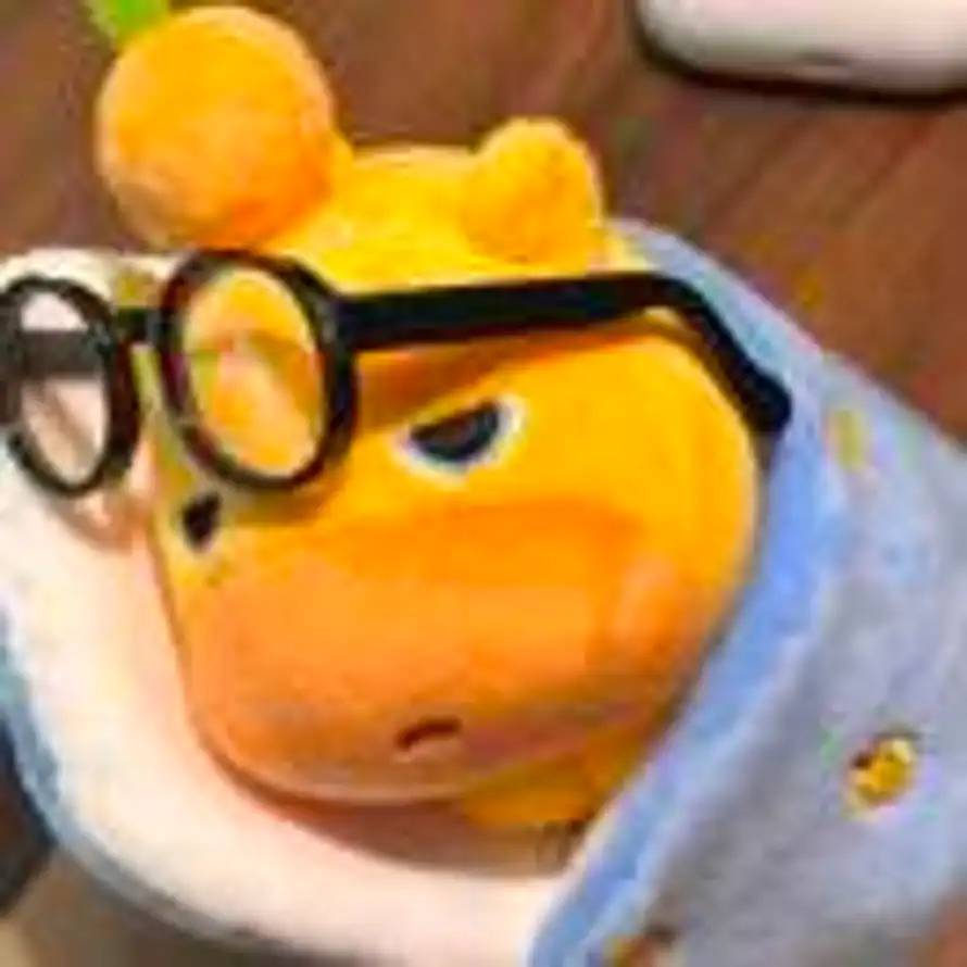 OwO的头像