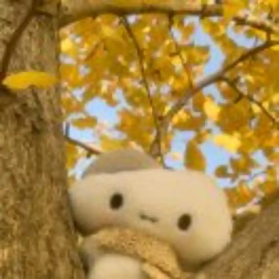 莫惜春衣坐绿苔的头像
