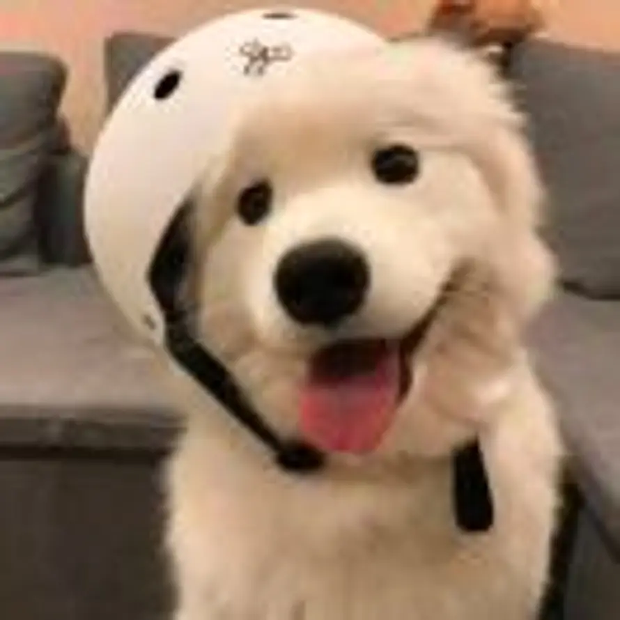 阿凡i的头像