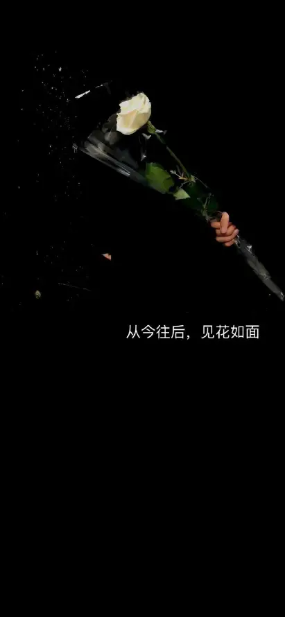 主题背景图片