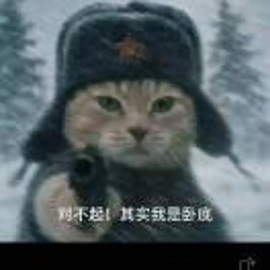 渣儿的头像