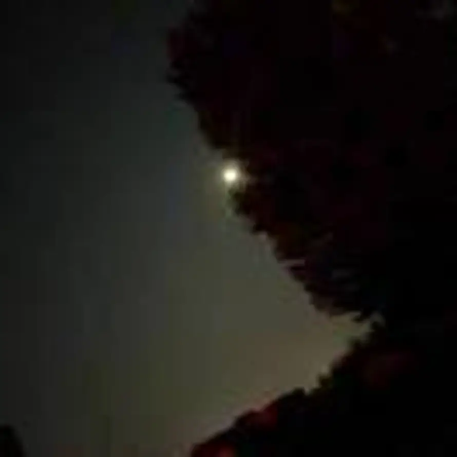 Sxz的头像