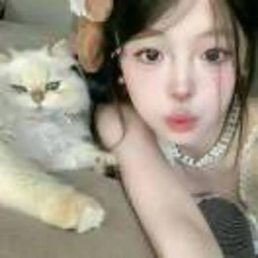 Q的头像