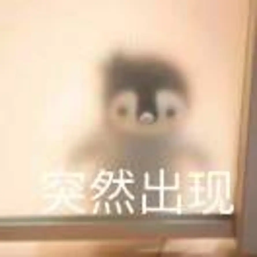 时速的头像
