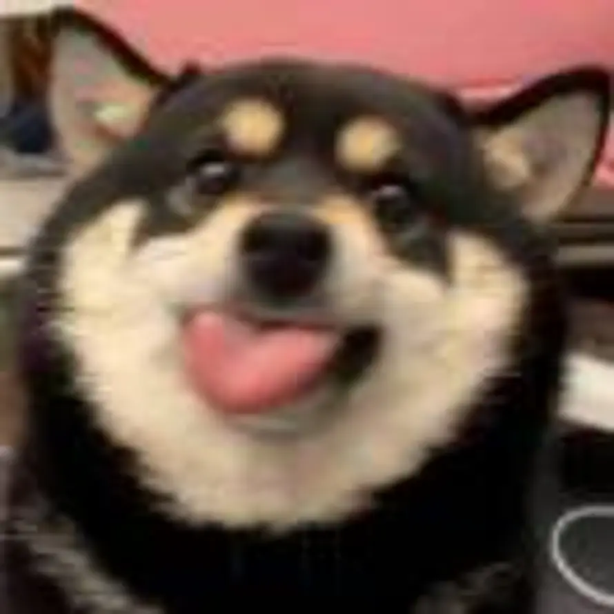 CYC的头像