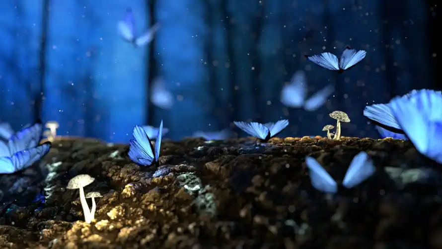 4k发光壁纸 - 夜景 - 幻想 - 梦幻「哲风壁纸」