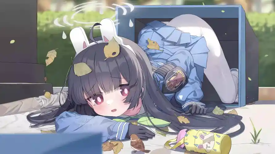 最喜欢的图像