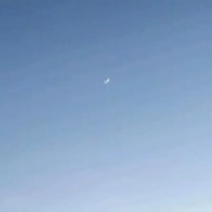 oj的头像