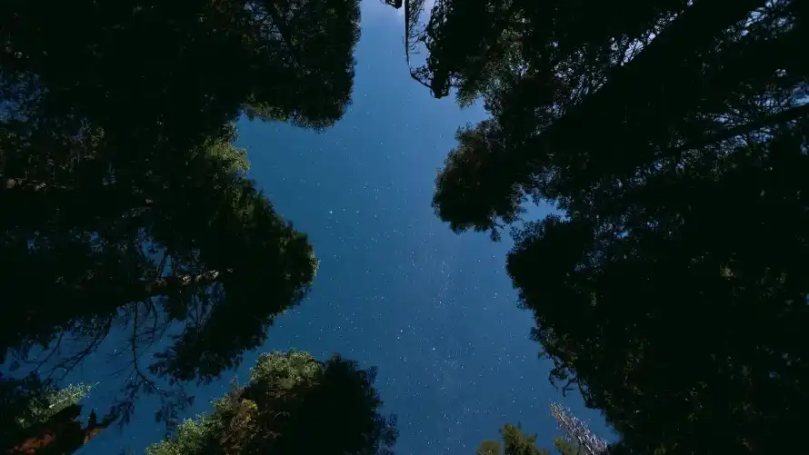 最喜欢的图像