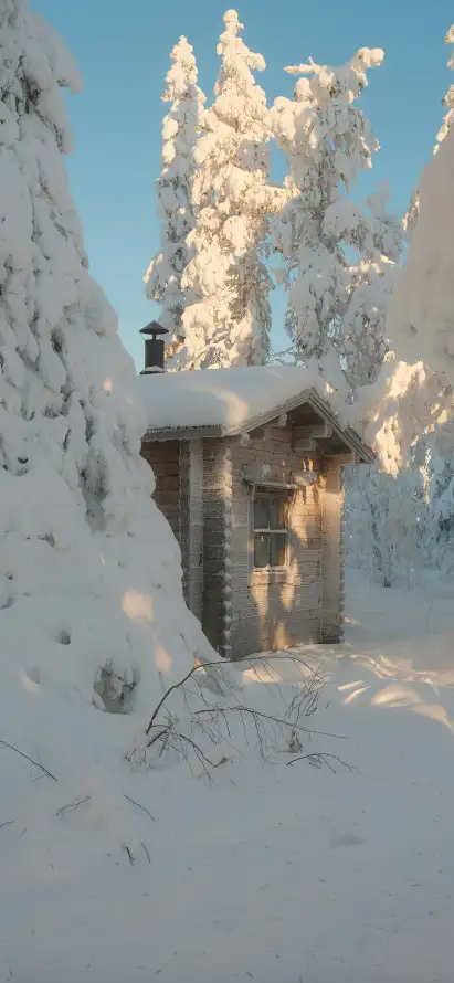 4k冬日壁纸 - 森林 - 阳光 - 雪地「哲风壁纸」