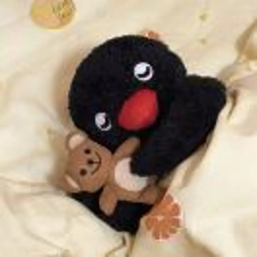 小🐻的头像