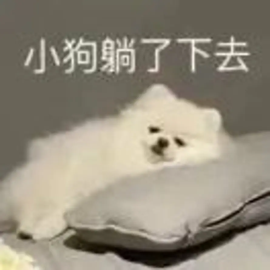 Xin的头像