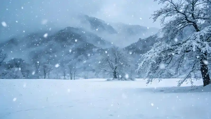 5k冬季壁纸-冰雪世界壁纸和寒风-漫天大雪免费下载「哲风壁纸」