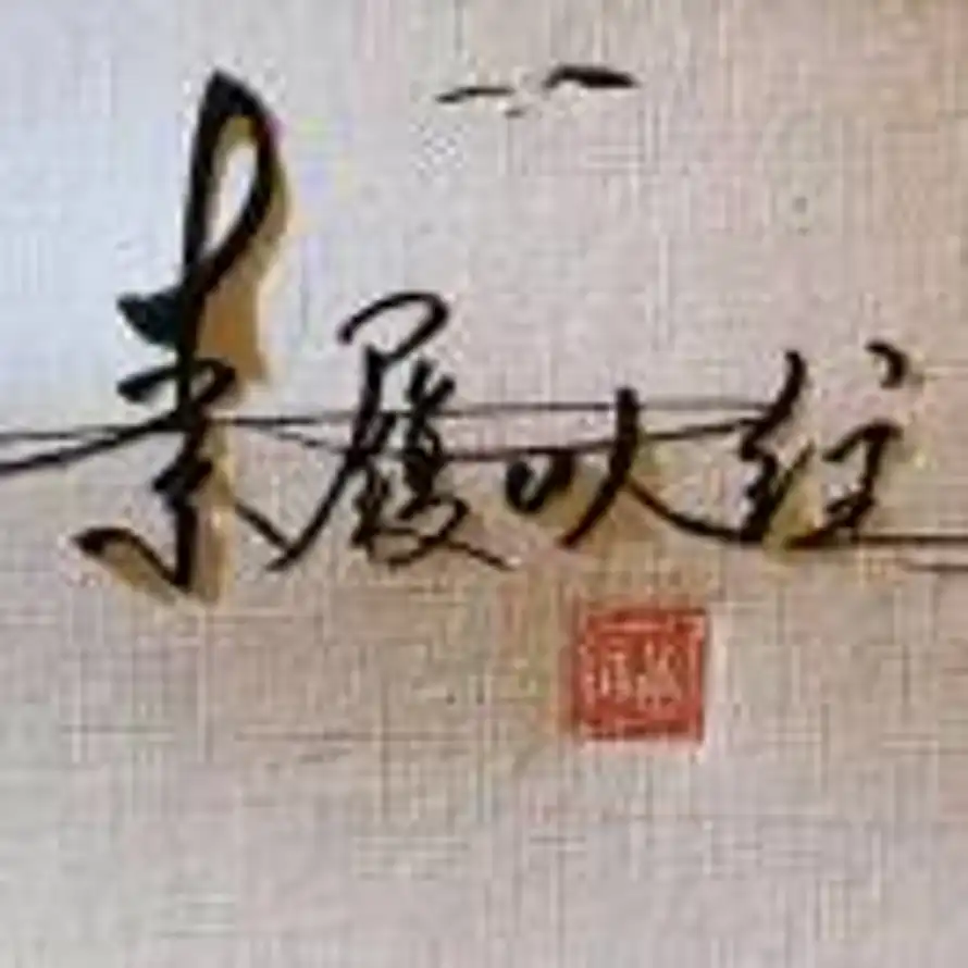 YL°的头像