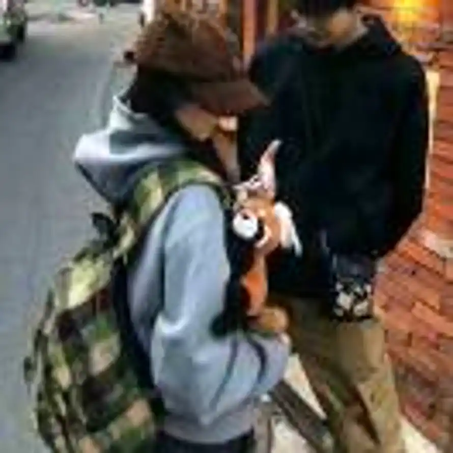 小猫喜欢洋桔梗的头像