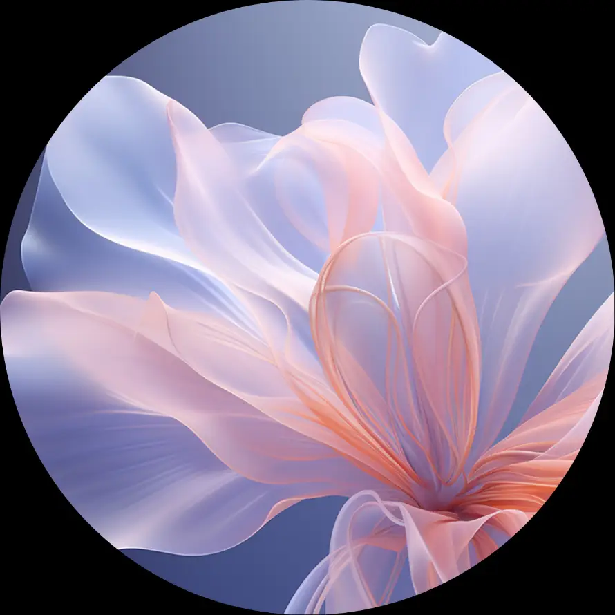 4k粉色花壁纸 - 花 - 圆形构图 - 抽象花卉「哲风壁纸」