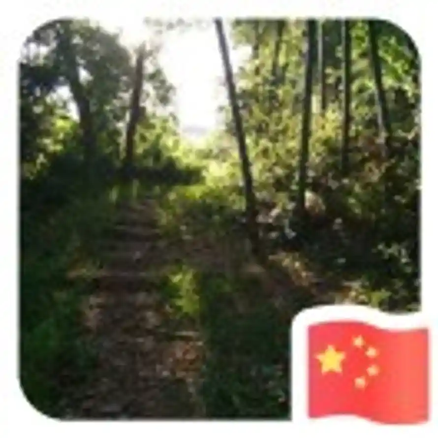 胜先生的头像