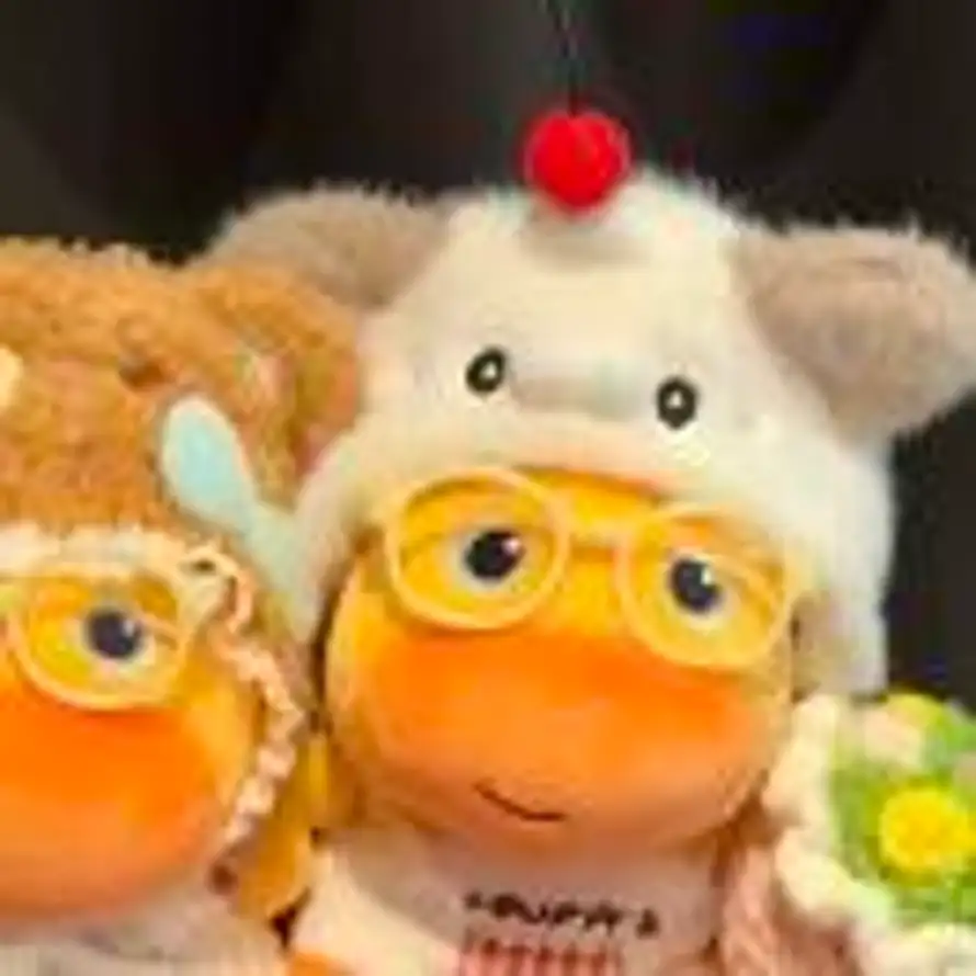 Nanami的头像