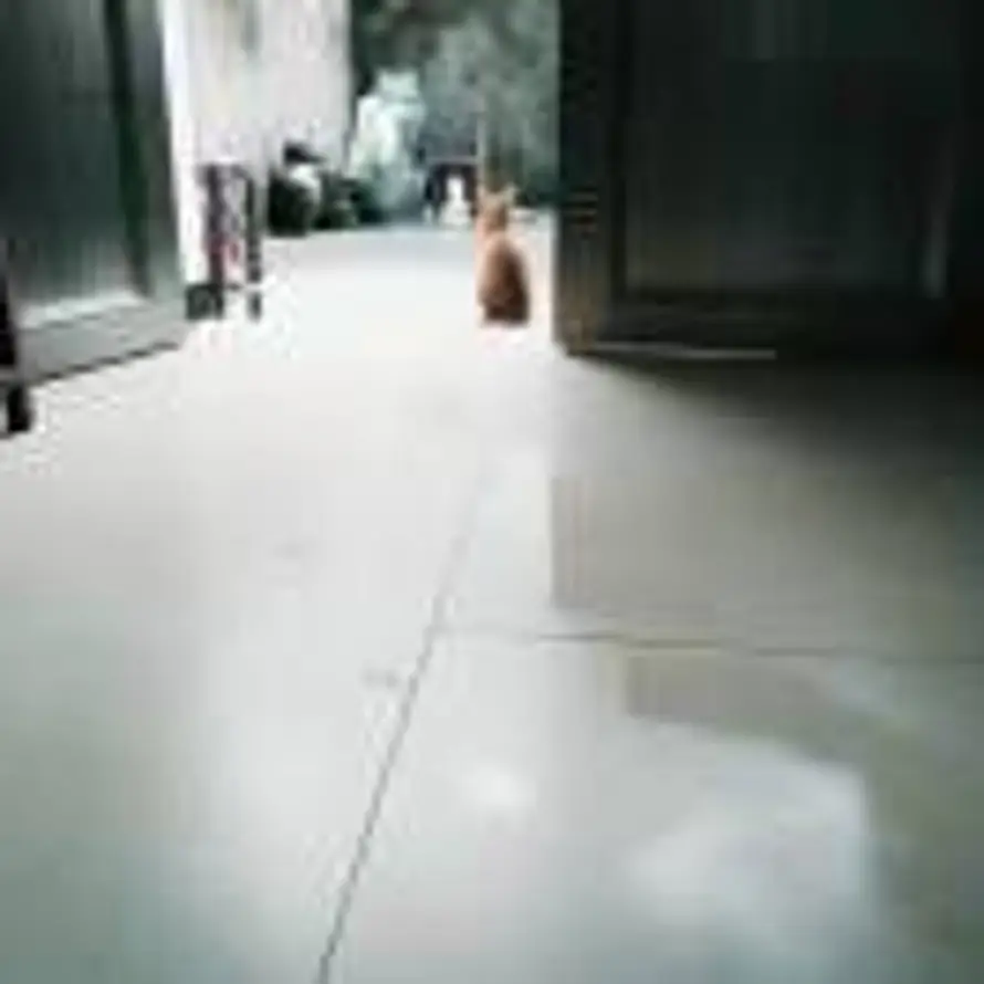 十六的头像