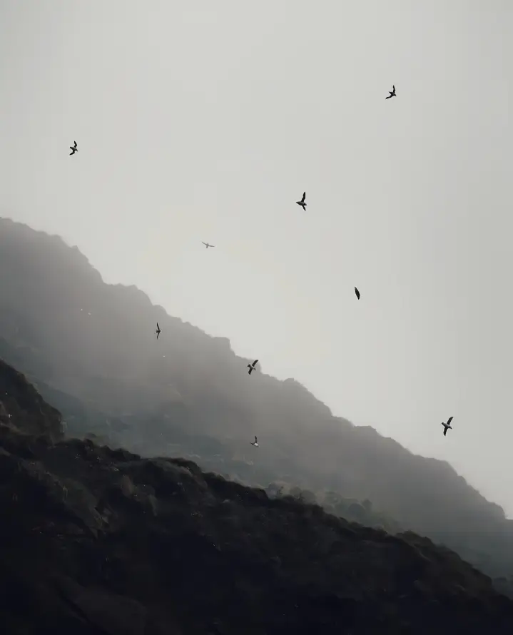 4k云雾壁纸 - 宁静 - 山峦 - 山景「哲风壁纸」