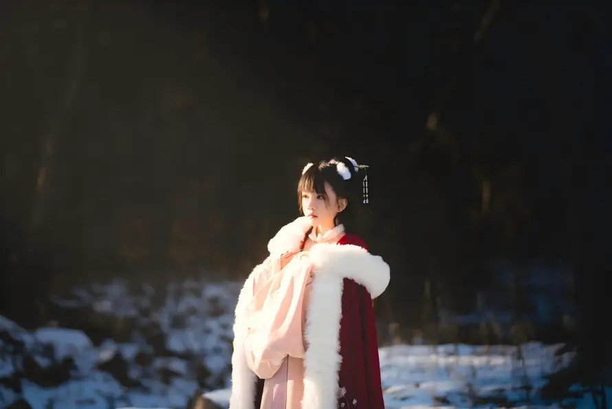 4k冬日壁纸 - 古风 - 户外 - 暖阳「哲风壁纸」