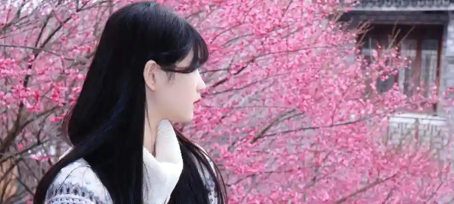 4k侧脸壁纸 - 春季 - 桃花 - 毛衣「哲风壁纸」