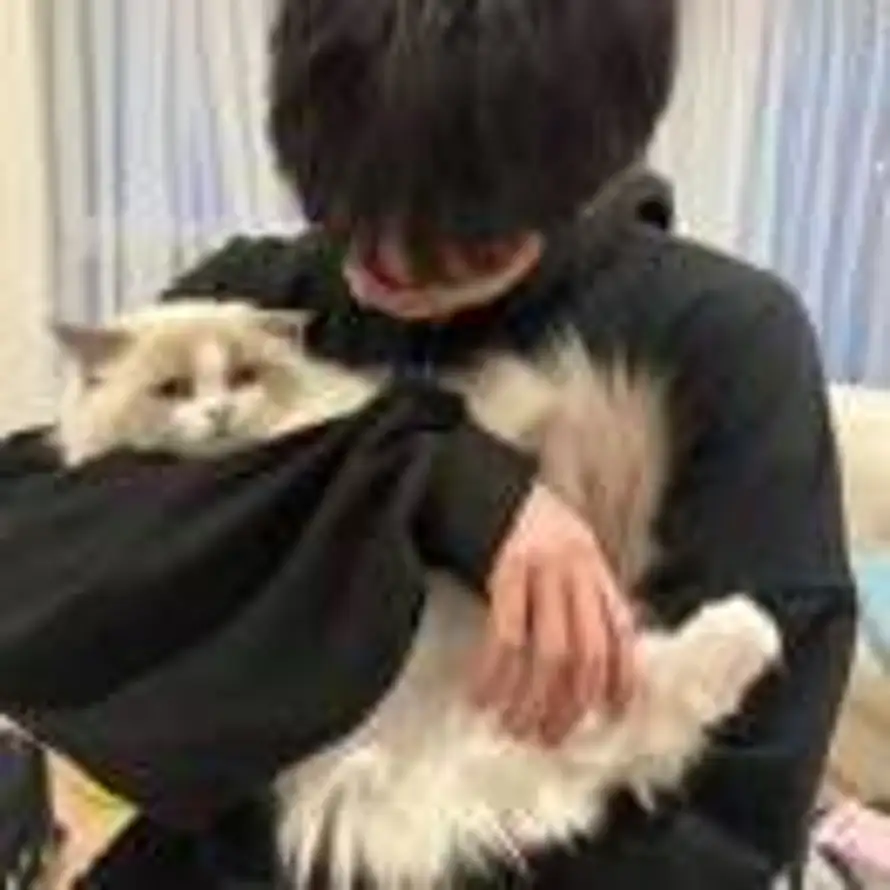 向日葵的花语的头像