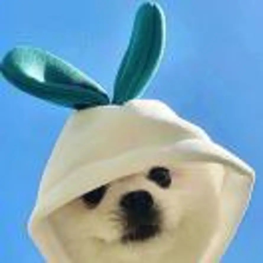 W.的头像