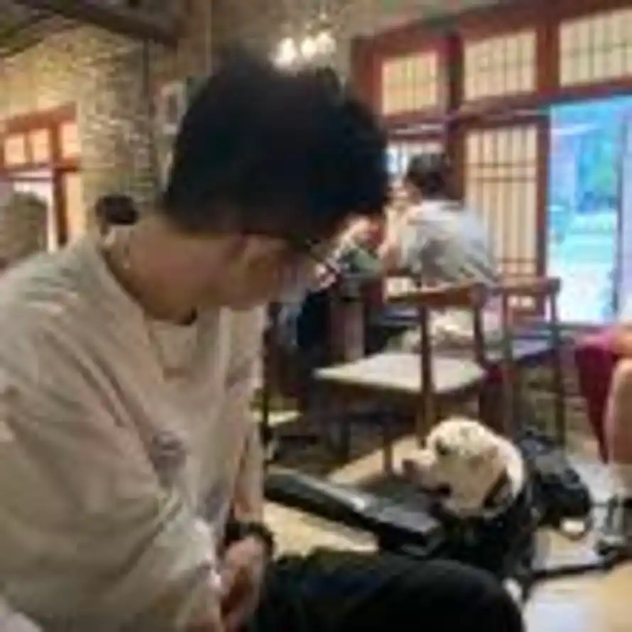 陈十四的头像