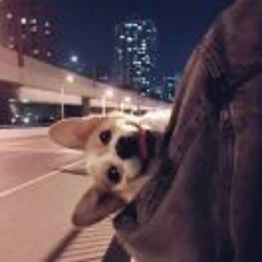 SHiMO的头像