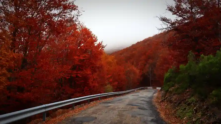 6k公路壁纸-山间公路和山坡-红色树林壁纸分享「哲风壁纸」