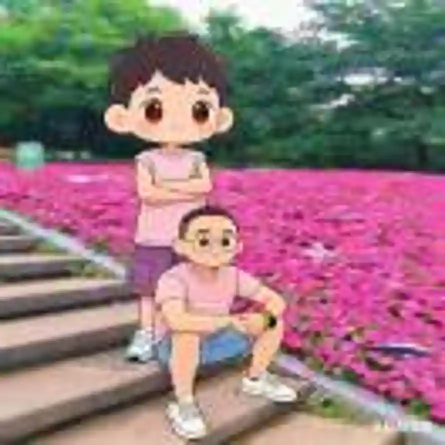 Z.的头像