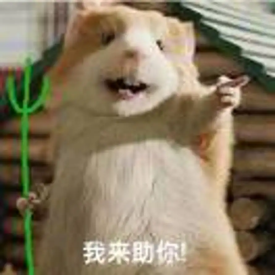 K的头像