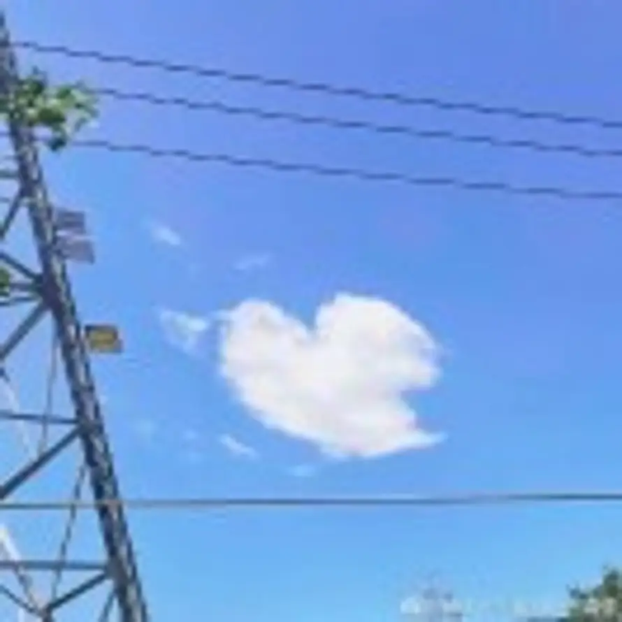 乖乖 的头像