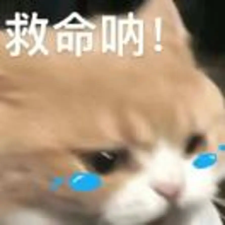 静加的头像
